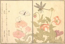 Butterfly (Cho); Dragonfly (Kagero or Tonbo), 1788. Creator: Kitagawa Utamaro.