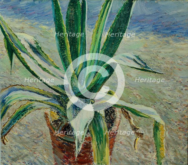 Agave, 1891. Artist: Borisov-Musatov, Viktor Elpidiforovich (1870-1905)