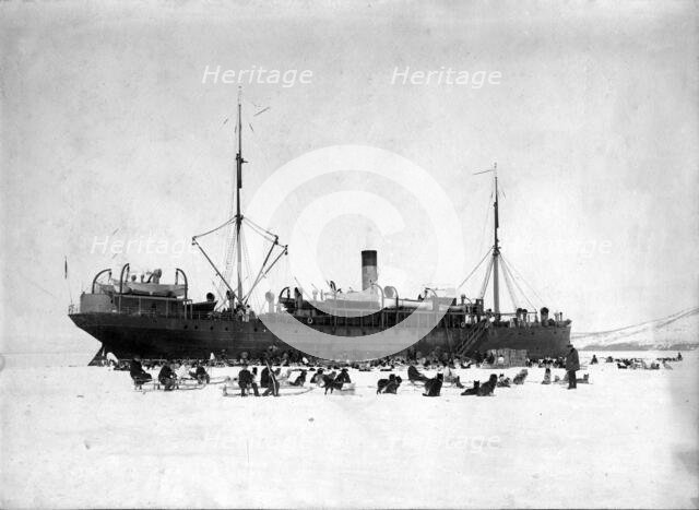 A ship in the ice of Avacha Bay; On the ice there are dog sleds to unload the ship, 1910-1929. Creator: Ivan Emelianovich Larin.