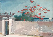 A Wall, Nassau, 1898. Creator: Winslow Homer.