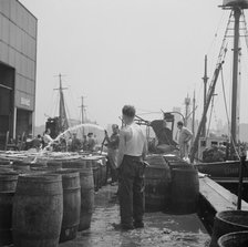 Watering fish at the Fulton fish market with brine water, New York, 1943. Creator: Gordon Parks.