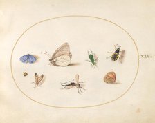 Plate 19: Two Butterflies with Five Other Insects, c. 1575/1580. Creator: Joris Hoefnagel.