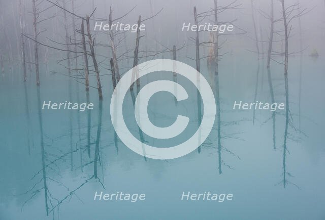 Blue Pond. Creator: Dorte Verner.