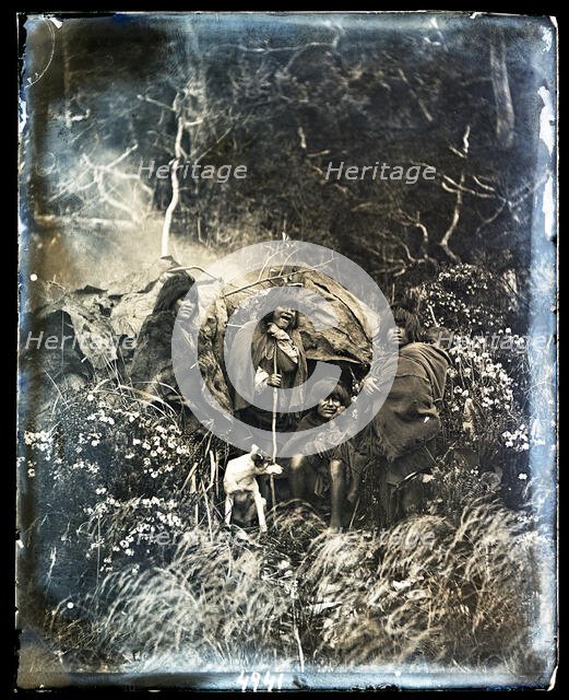 United States Fish Commission Steamer "Albatross" Circumnavigation of South America, 1888. Creator: United States National Museum Photographic Laboratory.