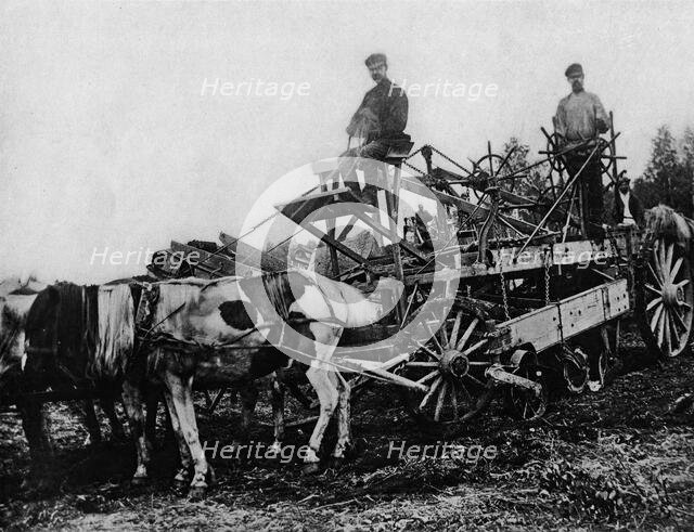 West Siberian Railroad. Earthworks Constructed with the "New-Era" Machine, 1892-1896. Creator: Unknown.