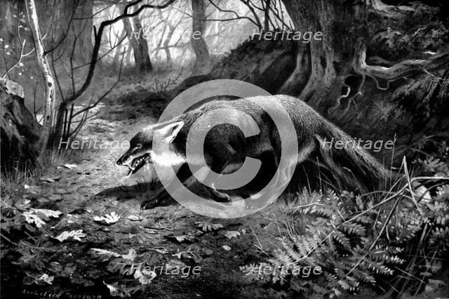 Spent, 1898. Creator: Unknown.