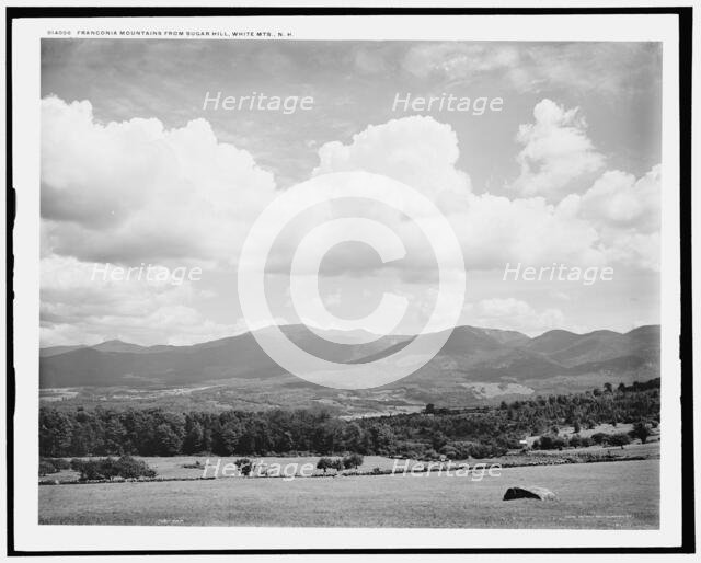 Franconia Mountains from Sugar Hill, White Mts., N.H., c1901. Creator: Unknown.