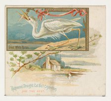Great White Heron, from the Game Birds series (N40) for Allen & Ginter Cigarettes, 1888-90. Creator: Allen & Ginter.