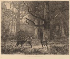 Forêt de Fontainebleau. Creator: Karl Bodmer.