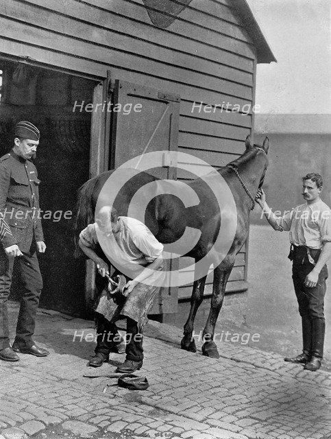 The Farrier-Major of the Royal Horse Guard, 1896.Artist: Gregory & Co