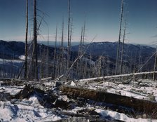 Sangre de Cristo Mts., N.M., 1943. Creator: John Collier.