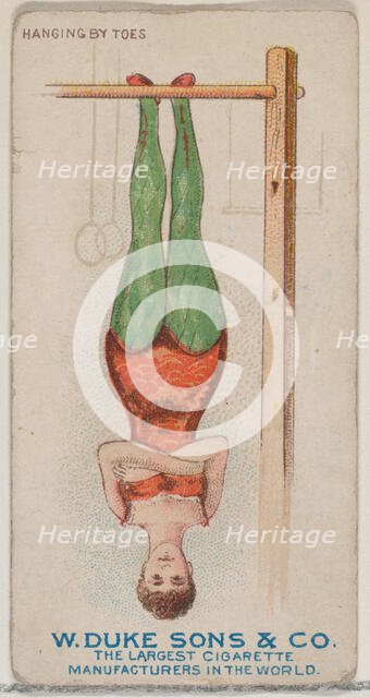 Hanging by Toes, from the Gymnastic Exercises series (N77) for Duke brand cigarettes, 1887., 1887. Creator: Unknown.