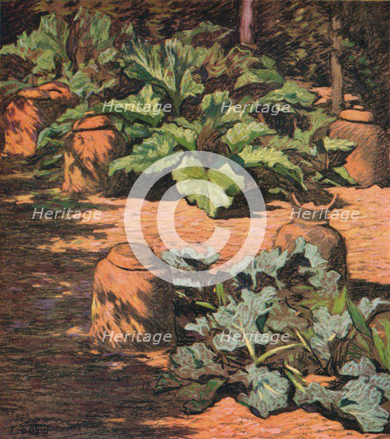 'Rhubarb and Seakale', c1927. Artist: Esther Sutro.