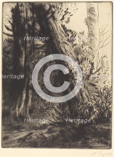 Edge of a Brook (Bord de ruisseau). Creator: Alphonse Legros.