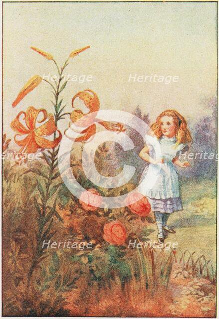 We can talk, said the Tiger Lily , 1911. Creator: Tenniel, Sir John (1820-1914).