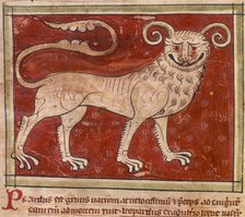 A leopard, 14th century. Creator: Unknown.