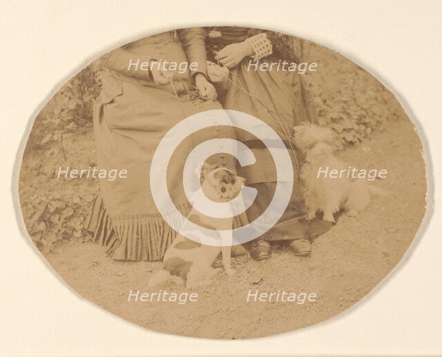 Les Chiens, 1860s. Creator: Pierre-Louis Pierson.