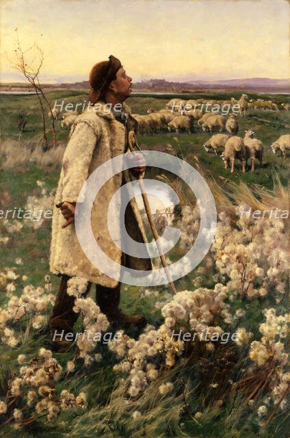 Shepherd, 1884. Creator: Gaines Ruger Donoho.