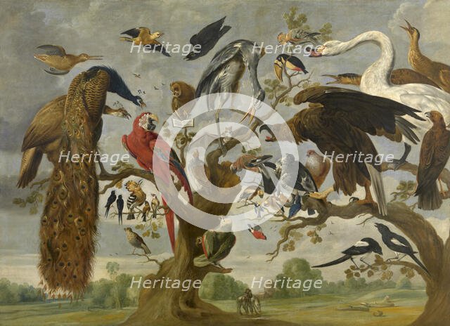 Concert of Birds, c1620-1670. Creator: Paul de Vos.