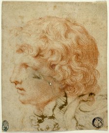 Head of Youth in Profile to Left (recto), 17th century. Creator: Unknown.