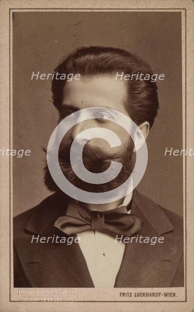 Portrait of the conductor and composer Willhelm Gericke (1845-1925), c. 1870. Creator: Luckhardt, Fritz (1843-1894).