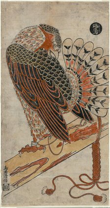 Sparrowhawk (Konori taka), c. 1716. Creator: Torii Kiyomasu I.