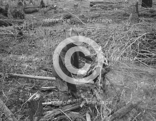 Ex-Nebraska farmer and the piece of land which he hopes..., Bonner County, Idaho, 1939. Creator: Dorothea Lange.