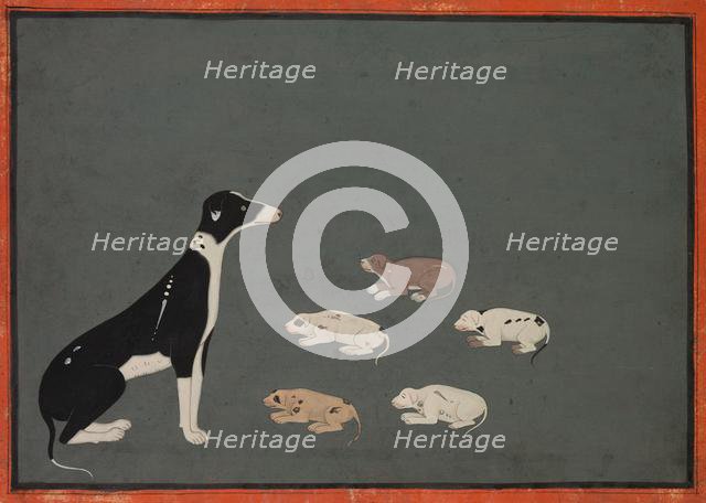 Dog with pups, c. 1780. Creator: Unknown.