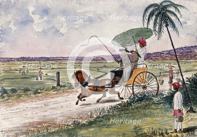 Malaya: a pony and trap being driven down a country road, 1879. Creator: John Edmund Taylor.