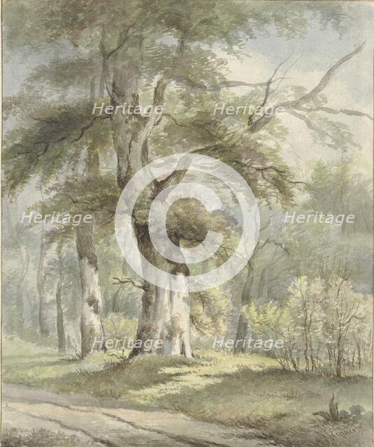 Forest view, 1813-1863. Creator: Arnoldus Johannes Eymer.