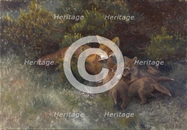 Fox with Cubs, 1912. Creator: Bruno Liljefors.