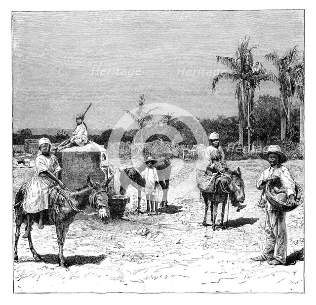 Group of Haitians, c1890. Artist: Unknown