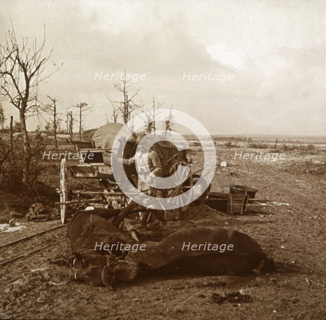 German horse-drawn vehicle, Tahure, northern France, c1914-c1918. Artist: Unknown.