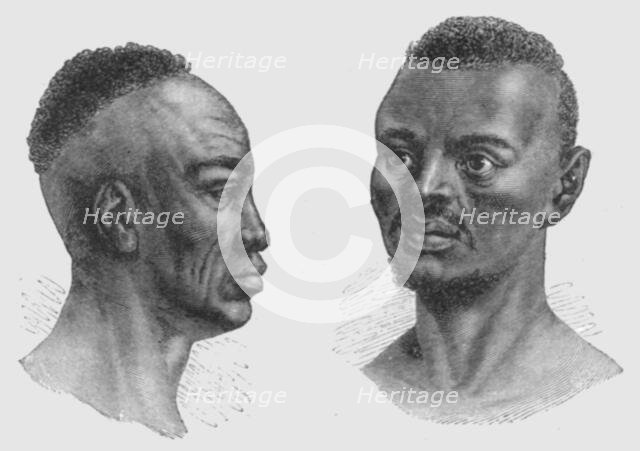 'Types of Nyam-Nyam; Dr. G. Schweinfurth's recent expedition to the Nyam-Nyam district..., 1875. Creator: W. F Kirby.