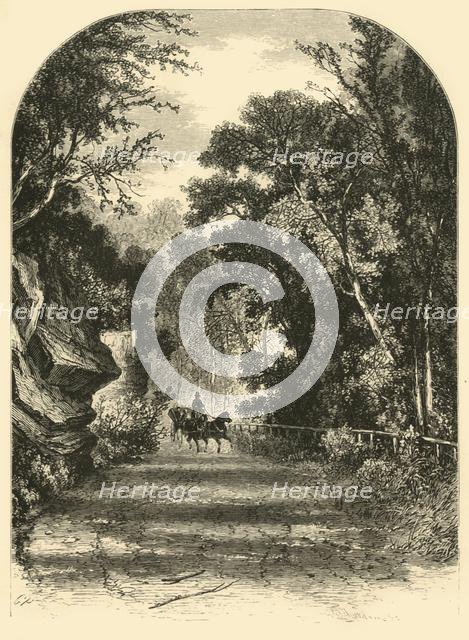 'Drive along the Wissahickon', 1874. Creator: James H. Richardson.