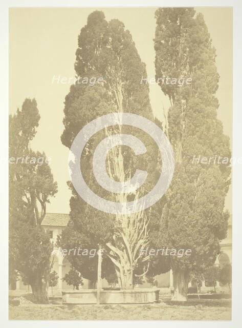 Untitled (Trees in Rome), c. 1857. Creator: Robert MacPherson.