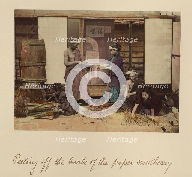 Peeling off the bark..., about 1873-1883. Creator: Shinichi Suzuki I.