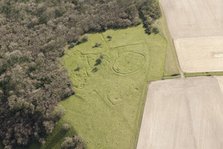 Iron Age and Romano British settlement remains, Cranborne Chase, Wiltshire, 2016. Creator: Damian Grady.