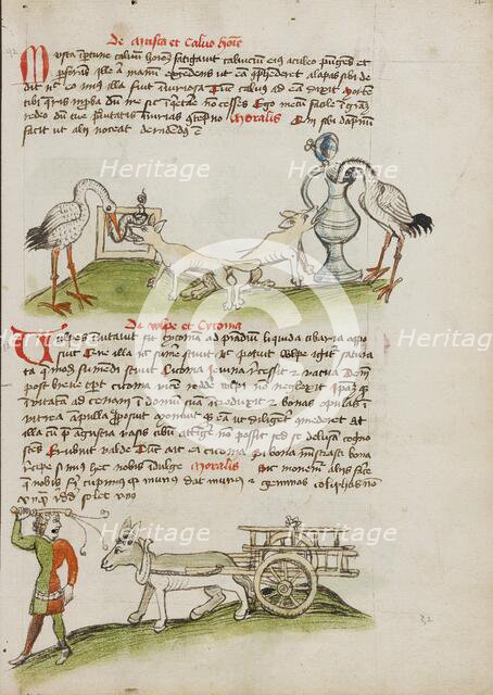 A Stork with its Head in a Vessel and a Fox Nearby: A Stork..., third quarter of 15th century. Creator: Unknown.