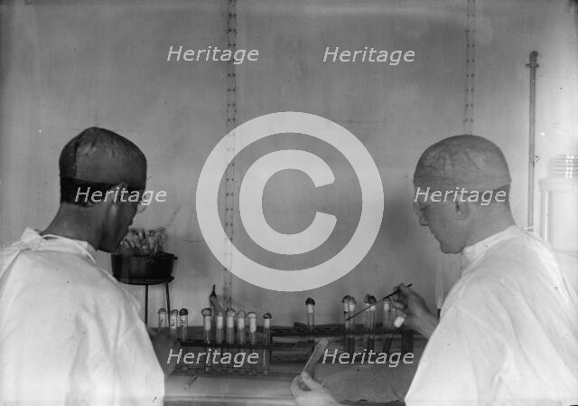 Army, U.S. Army Medical School; Typhoid Vaccine, 1917. Creator: Harris & Ewing.