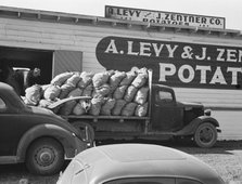 The potato shed during busy season, Tulelake, Siskiyou County, California, 1939. Creator: Dorothea Lange.