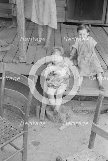 Tengle children, Hale County, Alabama, 1936. Creator: Walker Evans.
