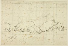 Pigs, n.d. Creator: Henry Stacy Marks.