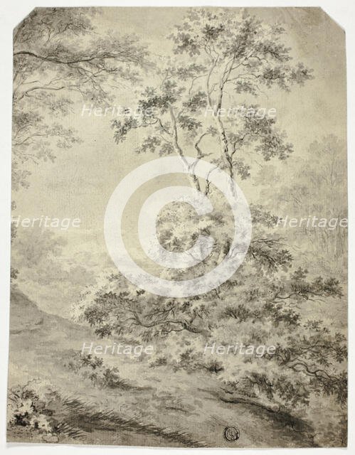 Forest Clearing, n.d. Creator: Unknown.