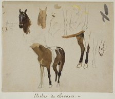 Studies of Horses, n.d. Creator: Jules Elie Delaunay.