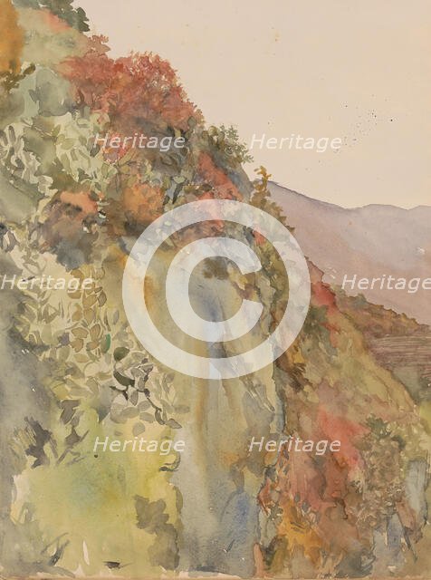 Hill covered with flowers and plants, 1865-1913. Creator: Abrahamina Arnolda Louisa Hubrecht.