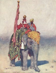 'An Elephant from Jaipur', 1903. Artist: Mortimer L Menpes.