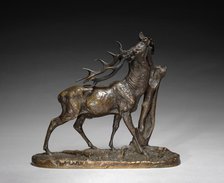 Stag, c. 1825 - 1879. Creator: Pierre Jules Mène (French, 1810-1879).