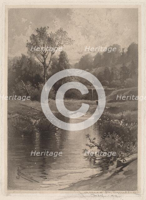 An Old Dam Near Montrose, 1891. Creator: James David Smillie.