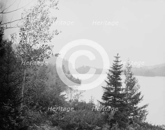 Lower Loon Lake, Adirondack Mts., N.Y., between 1900 and 1910. Creator: Unknown.